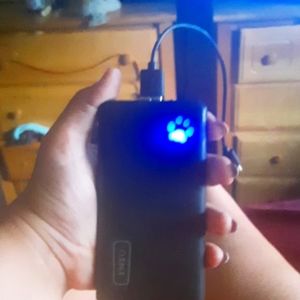 A blue light up paw charging bank with charger